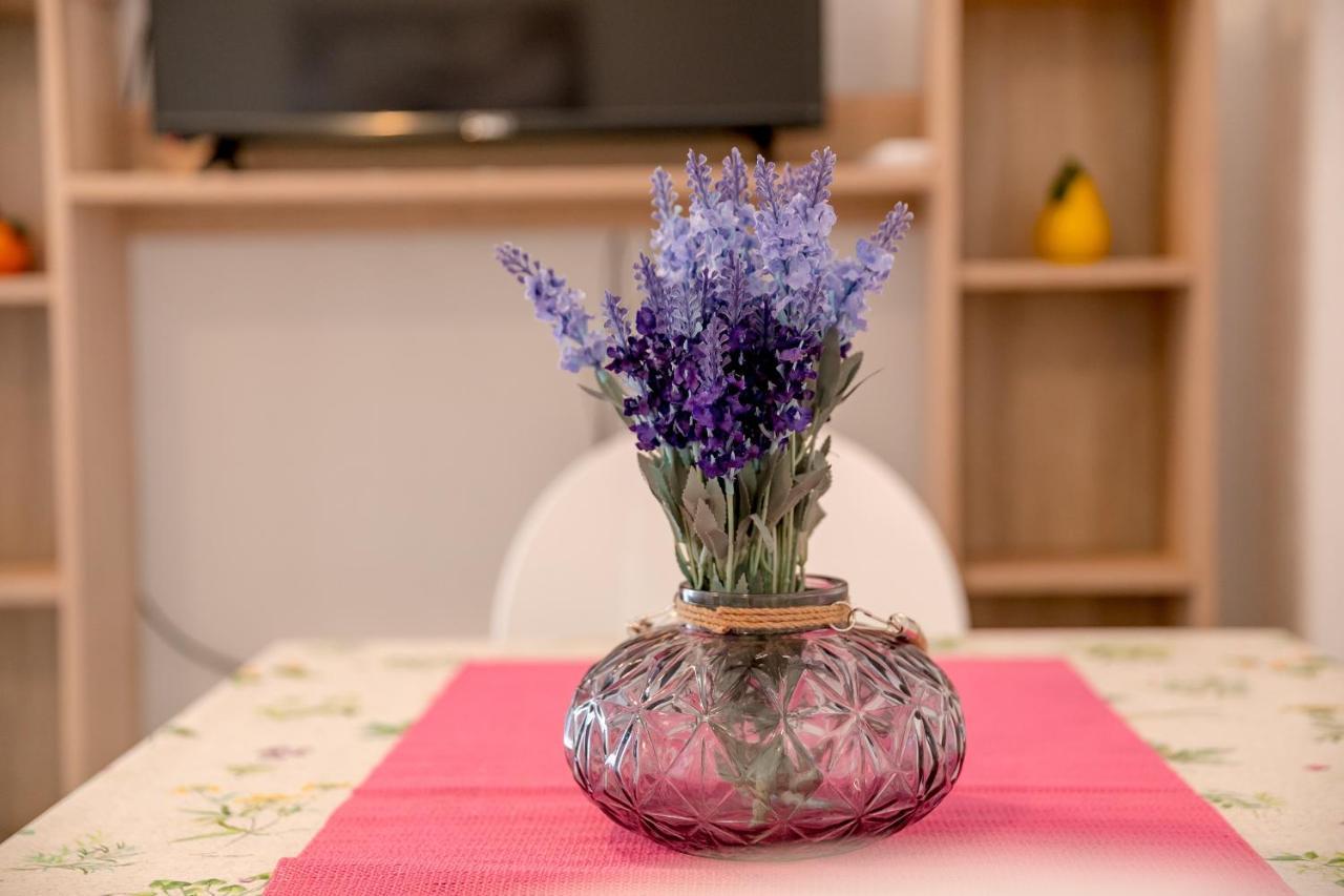 Apartments Mitrovic 루시티차 외부 사진